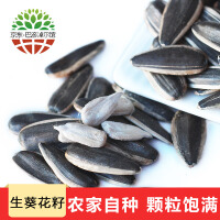 正品散货