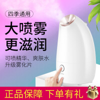 蒸汽美容仪器家用