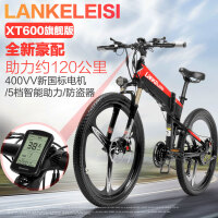 蓝克雷斯（LANKELEISI）电动车电池