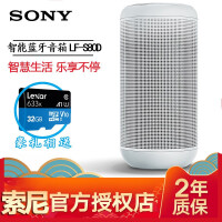 sony迷你内存