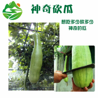 奇特种子