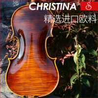 克莉丝蒂娜（Christina）乐器