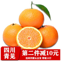 腾冲馆柑橘