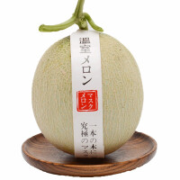 日本品种醇蜜哈密瓜