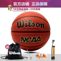 威尔胜（Wilson）篮球网