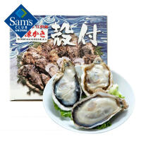 日本大创牡蛎