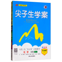 尖子生学案九下