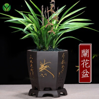 中国风陶瓷花盆
