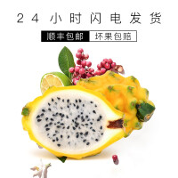 念初麒麟火龙果