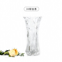 郁金香玻璃花瓶