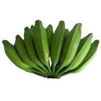 广东香蕉