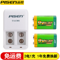 品胜（PISEN）万用表电池/充电器