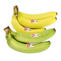 新鲜生香蕉