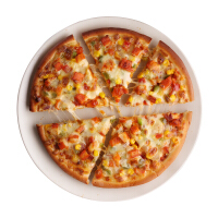 素食披萨