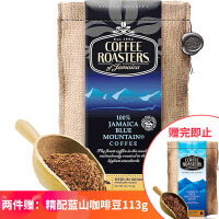 COFFEEROASTERS咖啡粉