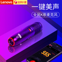 联想（Lenovo）支撑麦克风