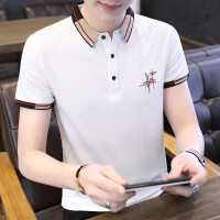 韩版短袖t恤白衬衣
