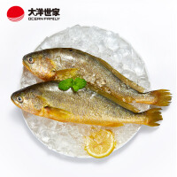 火锅海鲜大黄鱼条