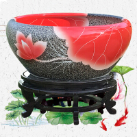 瓷盆鱼缸