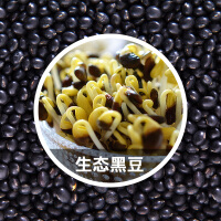 生黑豆芽