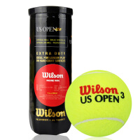 威尔胜（Wilson）网球比赛球