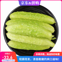 山东白玉蔬菜