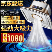 雀满楼麻将机净化器