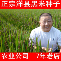 汉农粮油调味