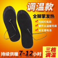 电热鞋电暖鞋垫