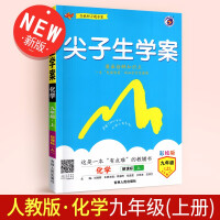 初中尖子生学案