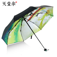 晴雨伞与遮阳伞