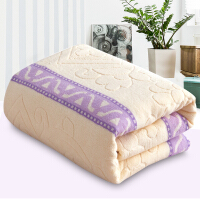 毛毯加厚单人紫色