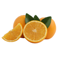 食品橙子