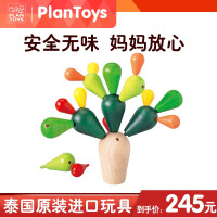 PLANTOYS益智玩具