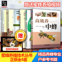 中国养蜂