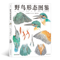 台湾都市赏鸟图鉴