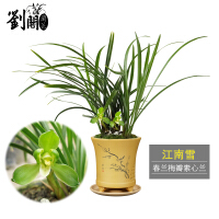 江南花卉
