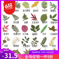 幼儿园花瓶