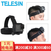 小蚁山狗