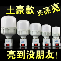 直插灯泡
